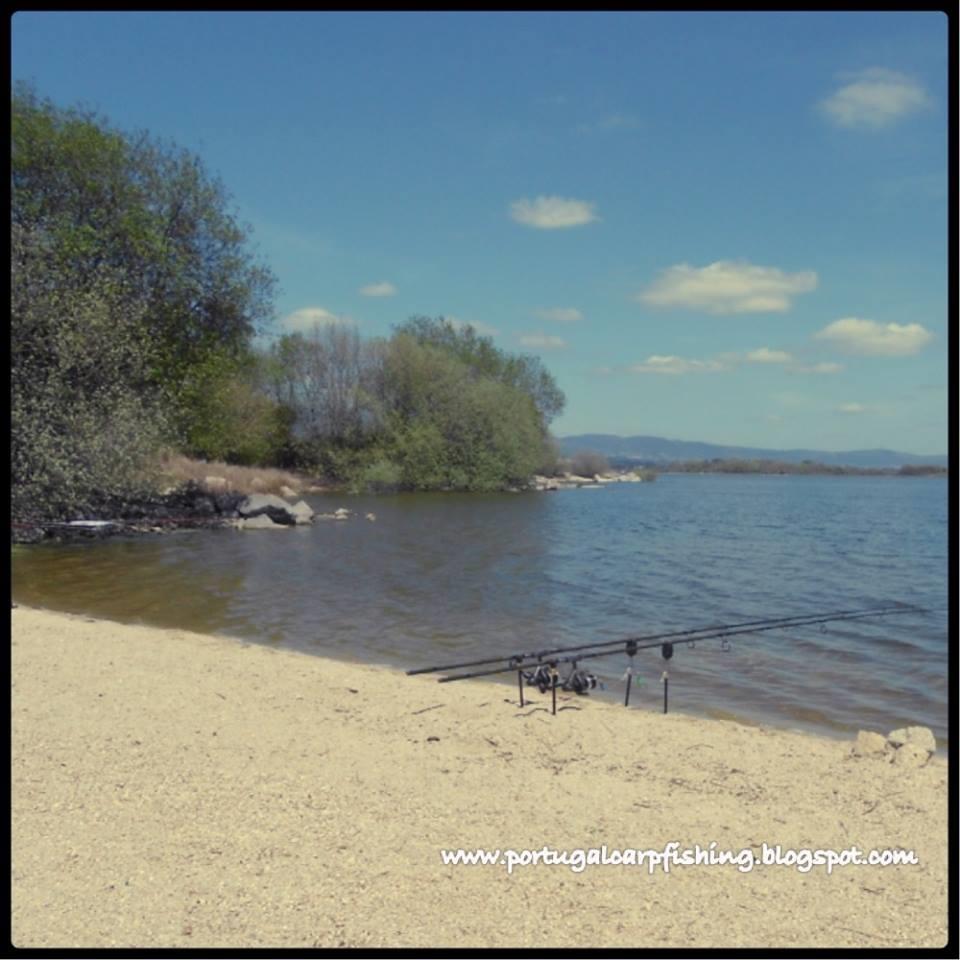 pescuitul+natura - 9313271407311461170911865885385n.jpg